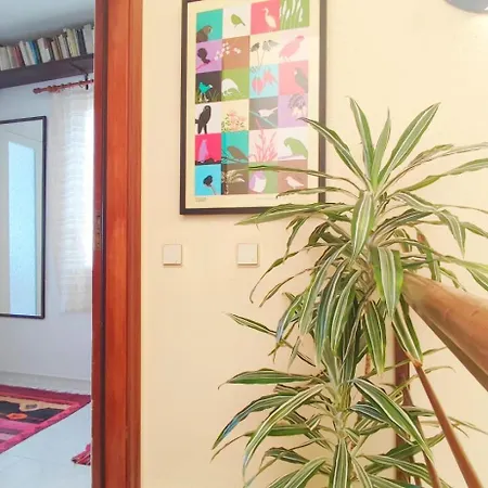 Cosy Flat In Pretty Seaside Town 公寓 *