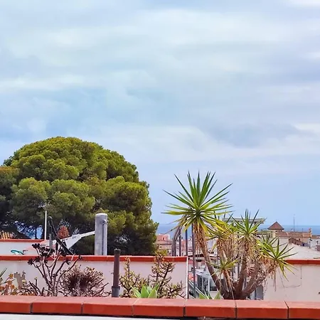 Cosy Flat In Pretty Seaside Town